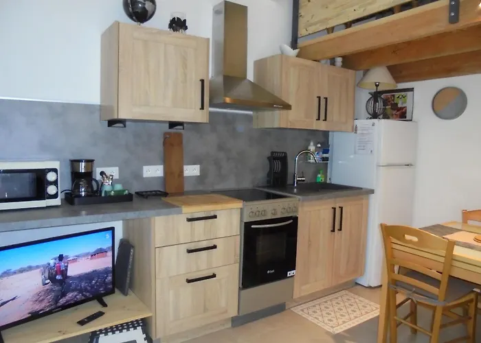 Gabriel Avec Mezzanine דירה *